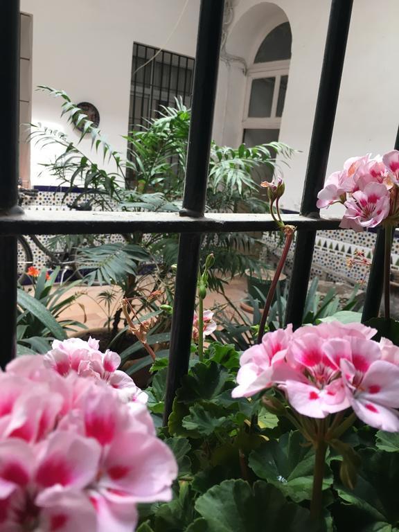 Apartamento Cruz Vieja เฮเรซ เด ลาฟรอนเตรา ห้อง รูปภาพ